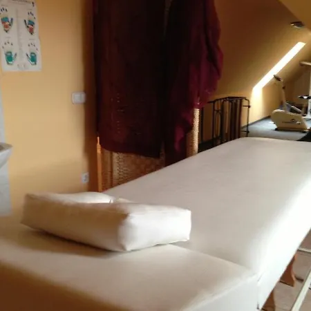 Hotel Arany Trofea 3*
